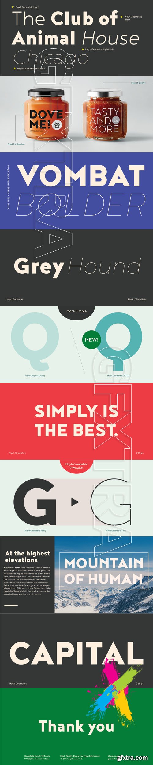 Noyh Geometric font family - $120.00