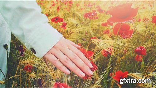 Young attractive woman dressed in white clothes is running-through a poppies field feeling happy and free slow motio filmed at 250-fps