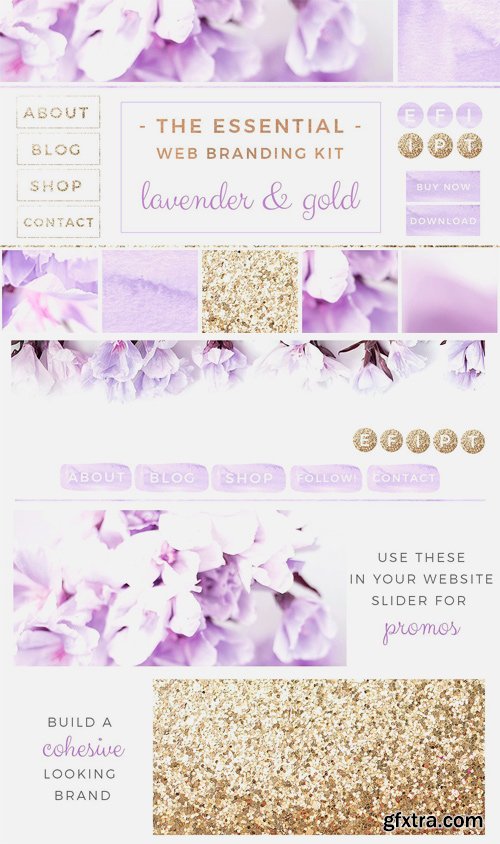 CM 1360065 - Lavender Gold Web Blog Branding Kit