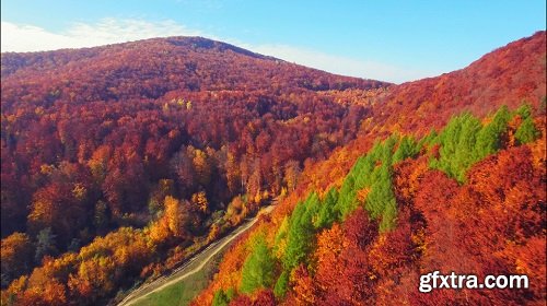 Aerial View Of Autumn Carpathians Mountains 4k