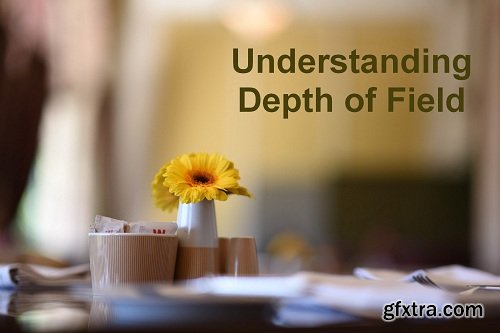 Understanding Depth of Field