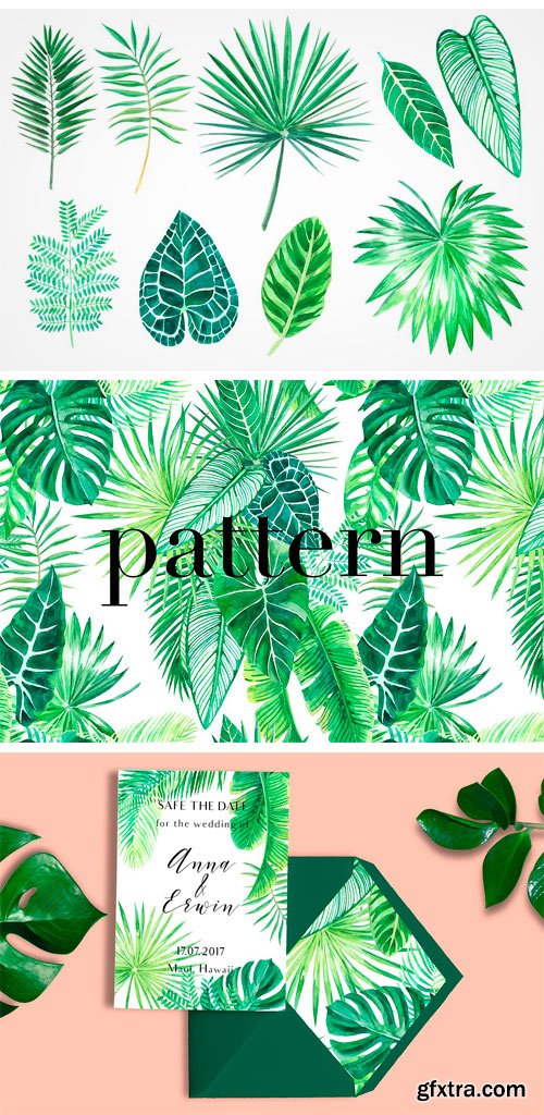 CM 1408419 - Tropical Leaves. Watercolor Clip Art