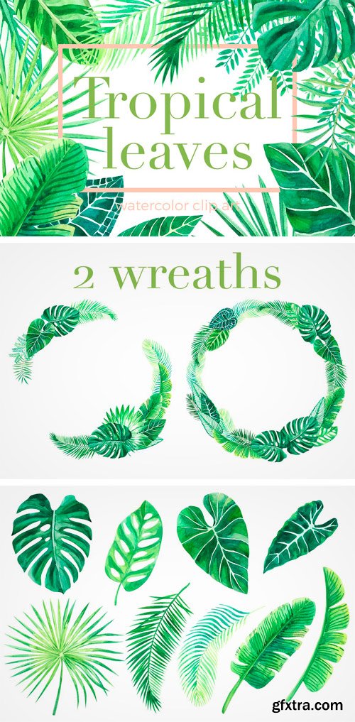 CM 1408419 - Tropical Leaves. Watercolor Clip Art