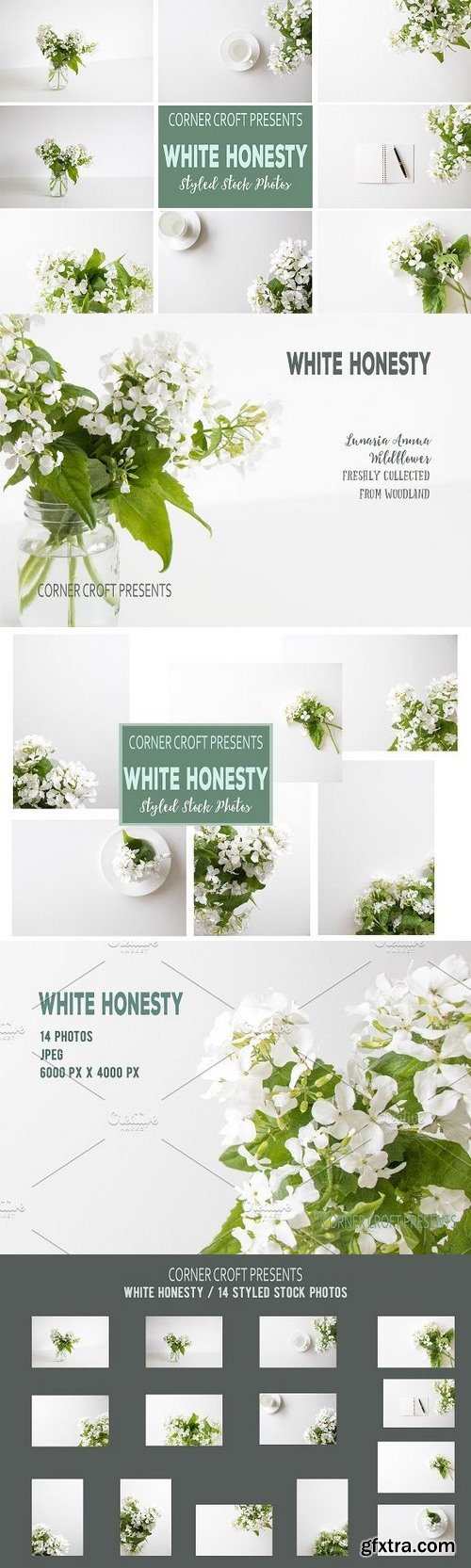 CM - White Honesty Stock Photo Bundle 1436125