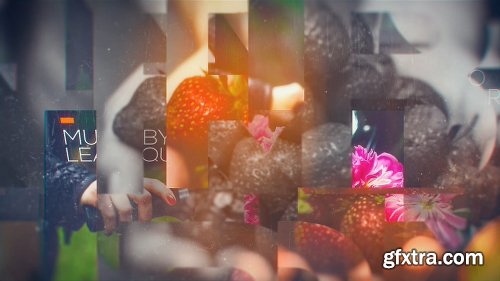 Videohive Elegant Slideshow 19682576