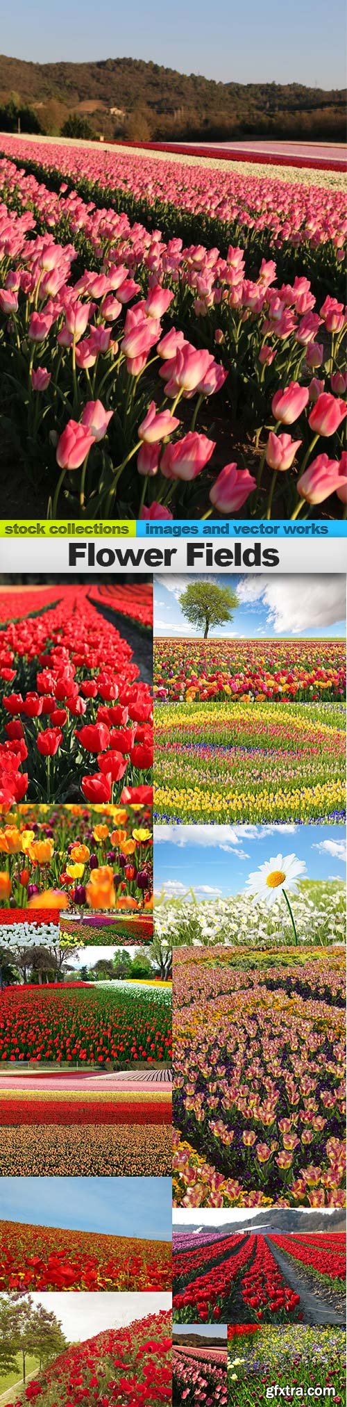 Flower Fields, 15 x UHQ JPEG