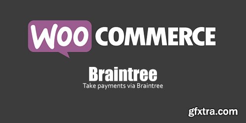 WooCommerce - Braintree v3.3.3