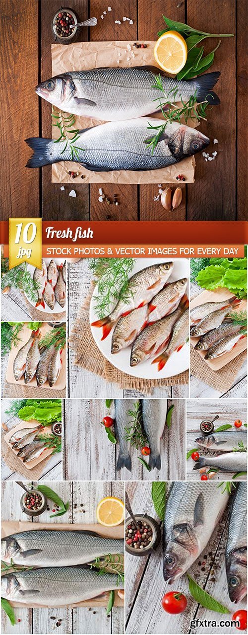 Fresh fish, 10 x UHQ JPEG