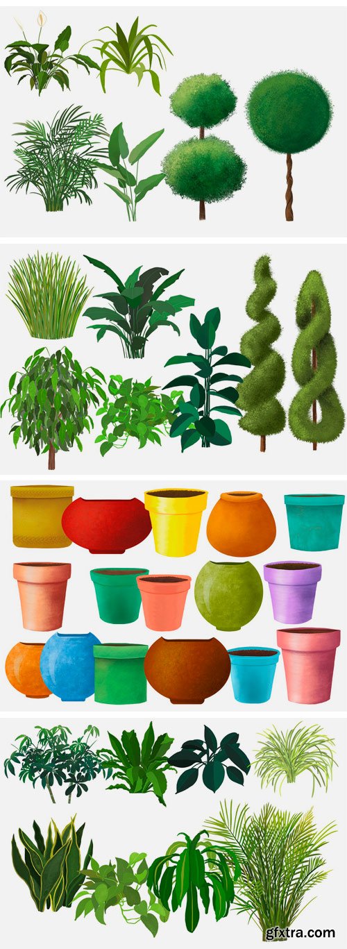 CM 1435034 - House Plants and Flower Pots + Bonus