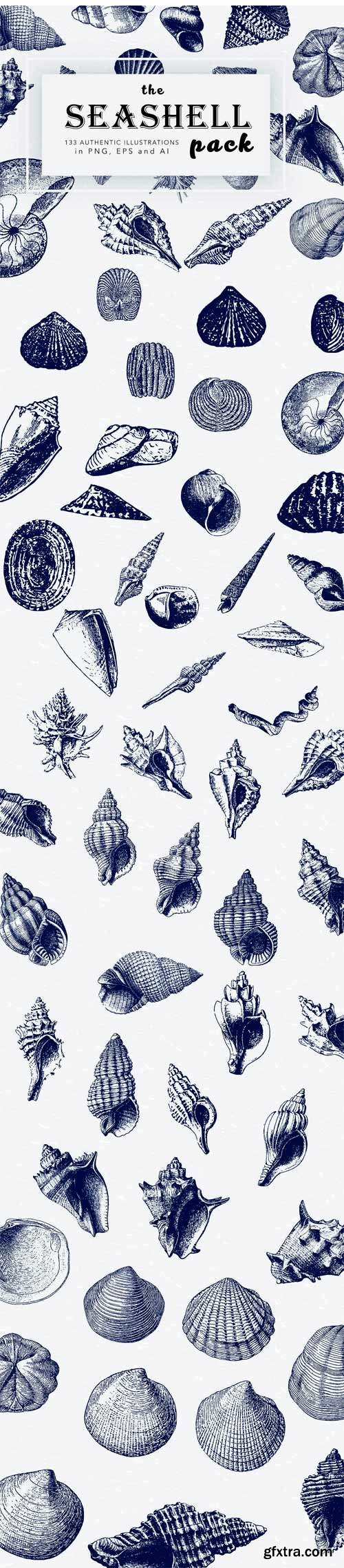 CM 1433506 - Seashell Illustration Mega Bundle