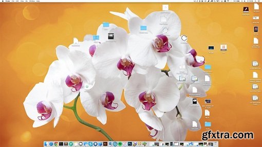 Appocto Hide Desktop Files v1.0 (Mac OS X)