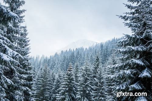 Beautiful Landscape of Mountains