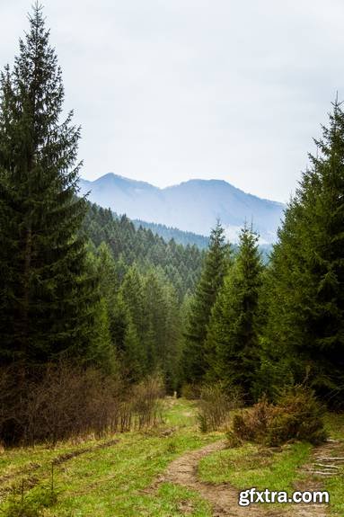 Beautiful Landscape of Mountains