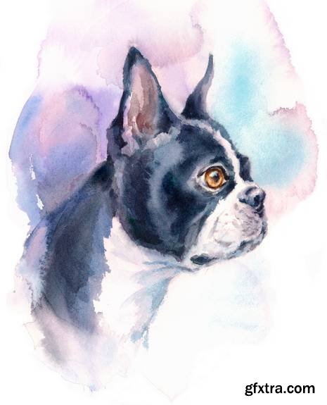 Watercolor Animals