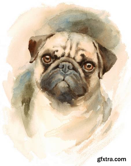 Watercolor Animals