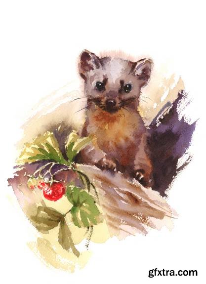 Watercolor Animals