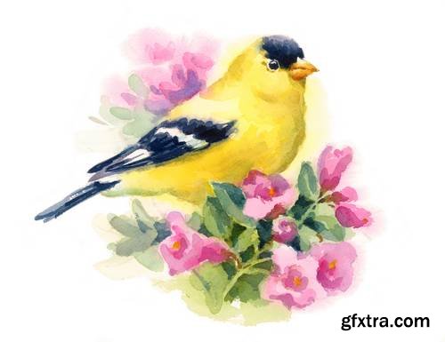 Watercolor Animals