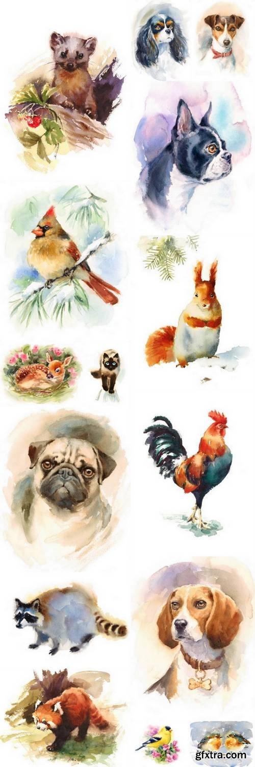 Watercolor Animals