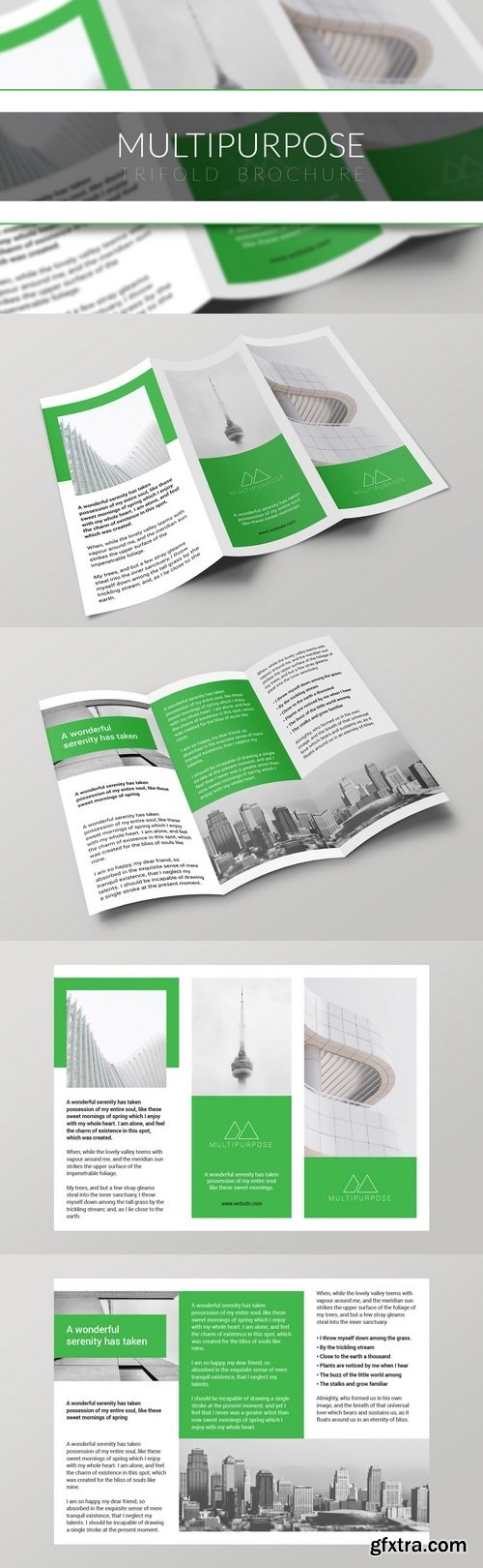 Multipurpose Trifold Brochure