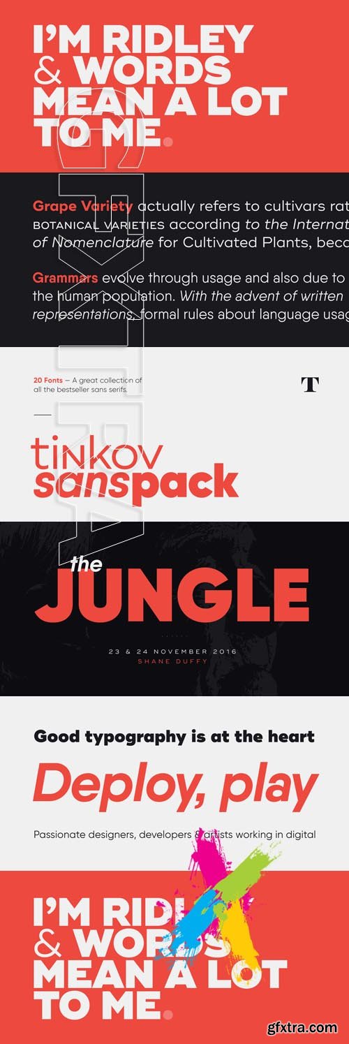 Tinkov Sans Pack Fonts - Bundles