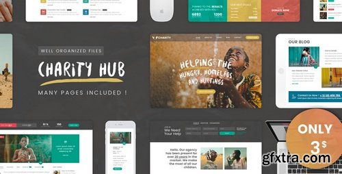 ThemeForest - Charity Foundation - Charity Hub PSD Template 19640689