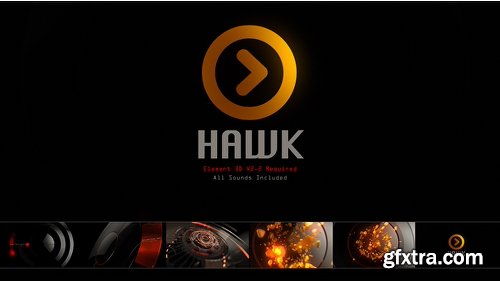 Videohive Hawk Logo 19866869