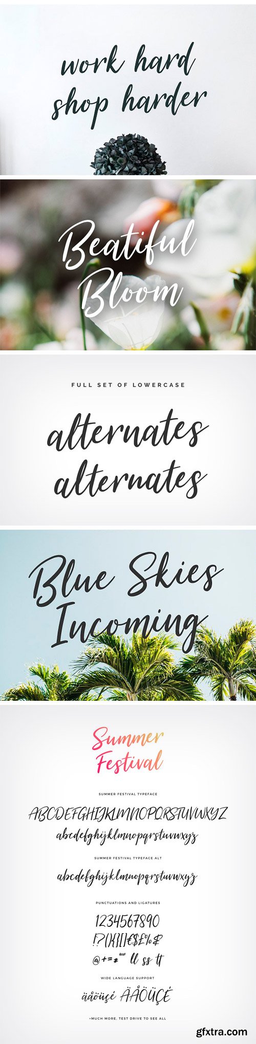 CM 1458519 - Summer Festival Typeface