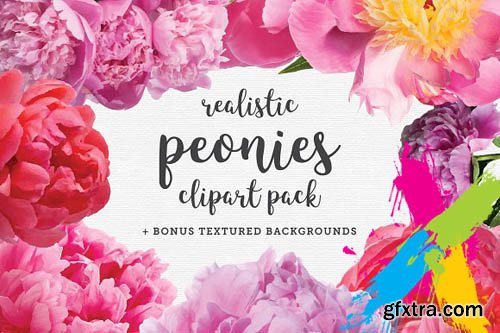 CM - Realistic Peonies Clip Art Pack 1490290