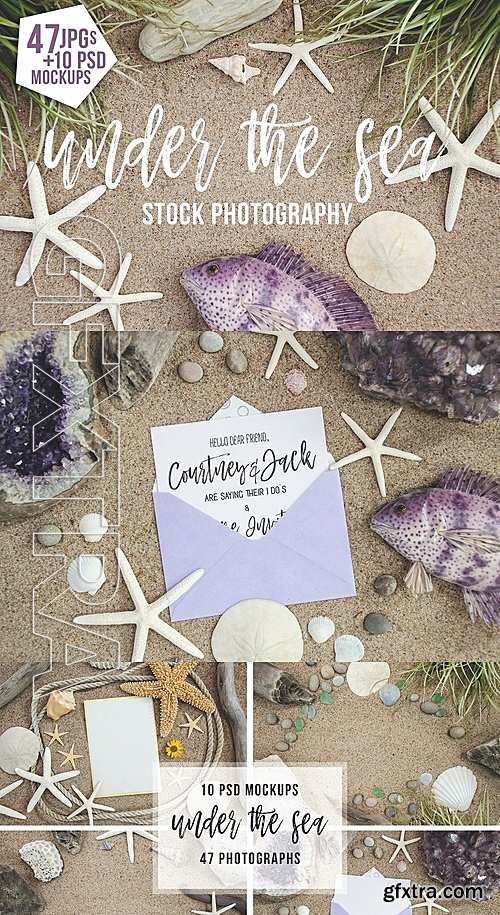 CreativeMarket Under The Sea Stock Photography 1386499