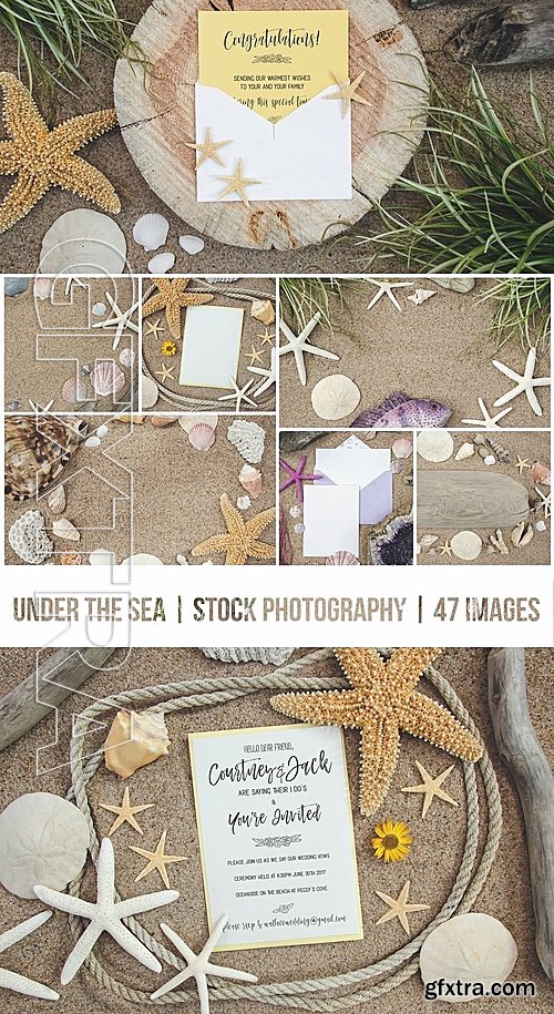 CreativeMarket Under The Sea Stock Photography 1386499