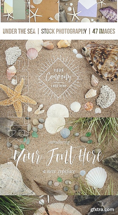 CreativeMarket Under The Sea Stock Photography 1386499