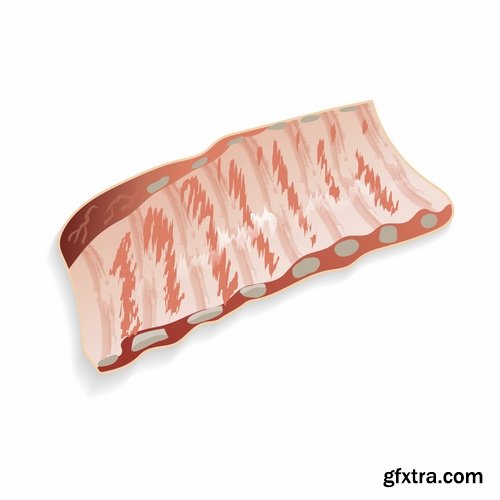 Meat raw ham delicacy tenderloin 2-25 EPS