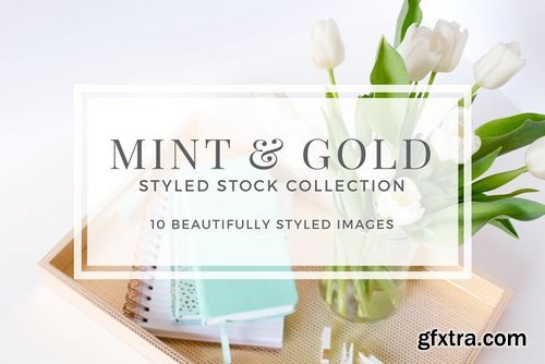 CM - Mint & Gold Styled Stock 1442037