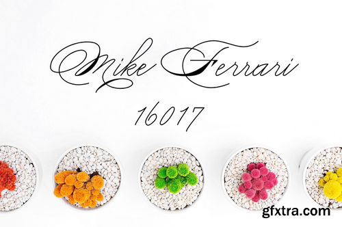 Mike ferrari 16017 Font