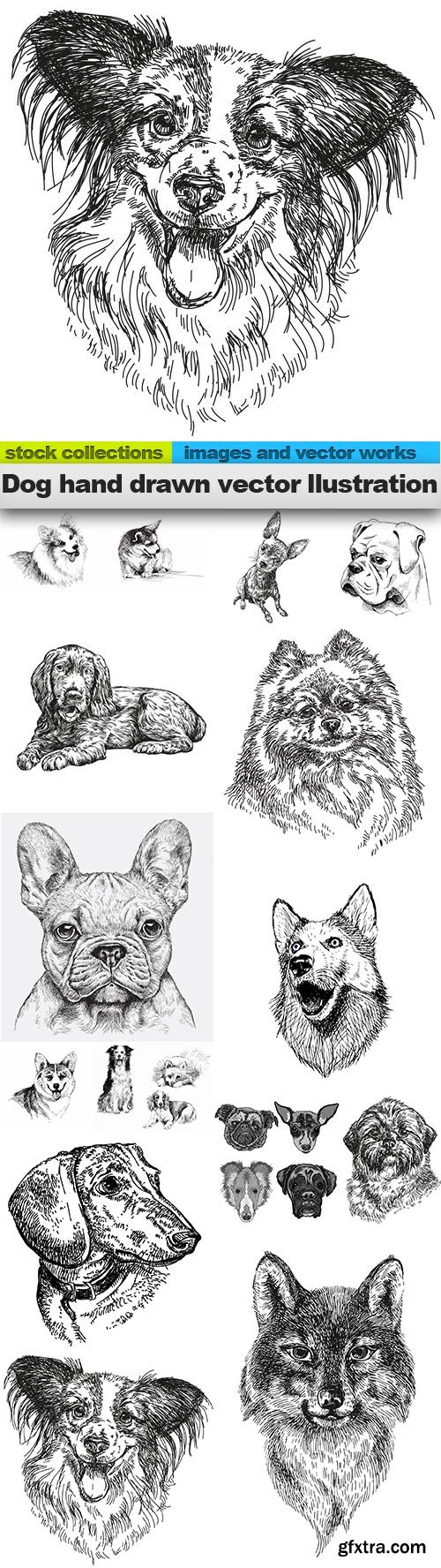 Dog hand drawn vector llustration, 15 X EPS