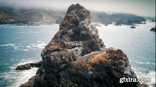 Seagull Rock Coast Aerial