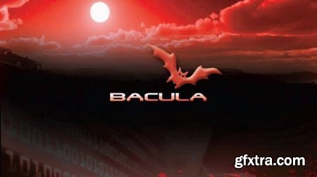 Bacula 1: the open source backup software