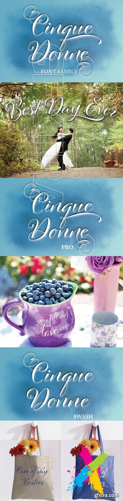 CM - Cinque Donne Font Family 1515067