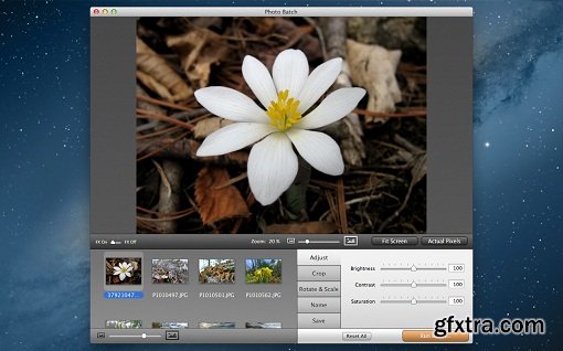 Photo Batch 1.0.2 (Mac OS X)