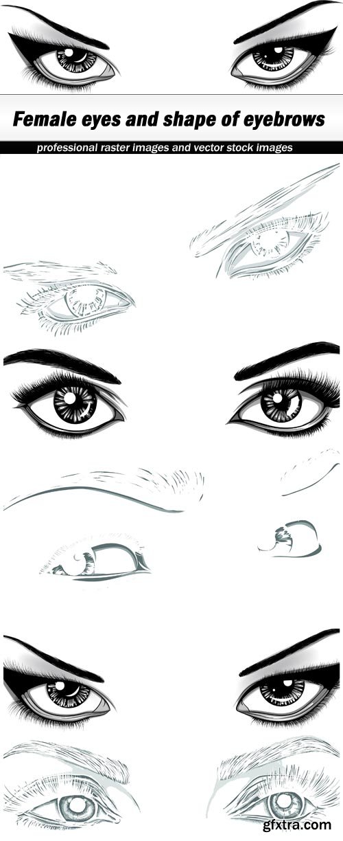 Female eyes and shape of eyebrows - 5 EPS