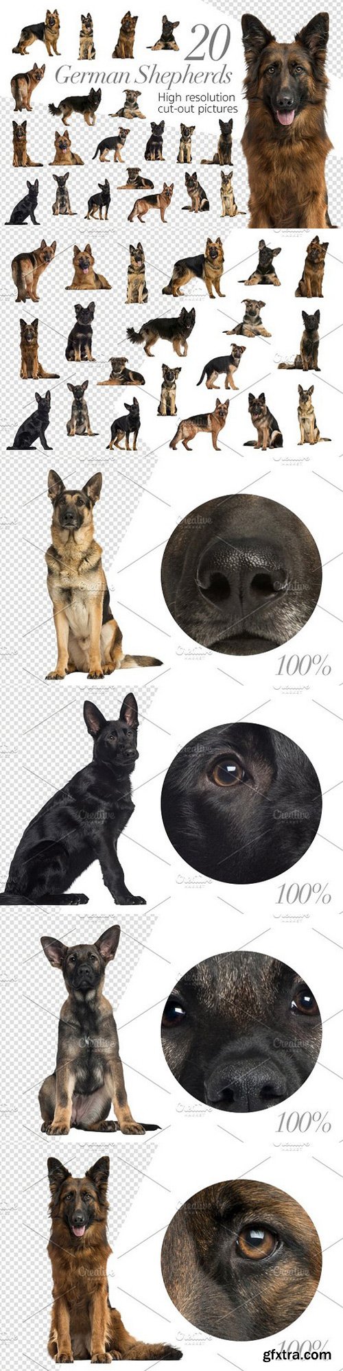 CM - 20 German Shepherds - Cut-out Pics 1449435