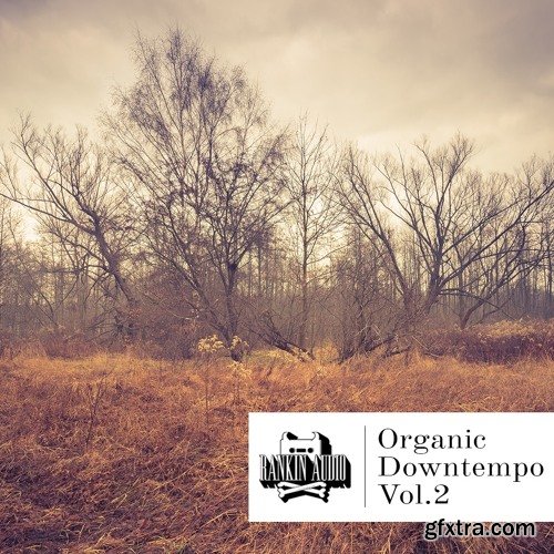 Rankin Audio Organic Downtempo Vol 2 WAV-FANTASTiC