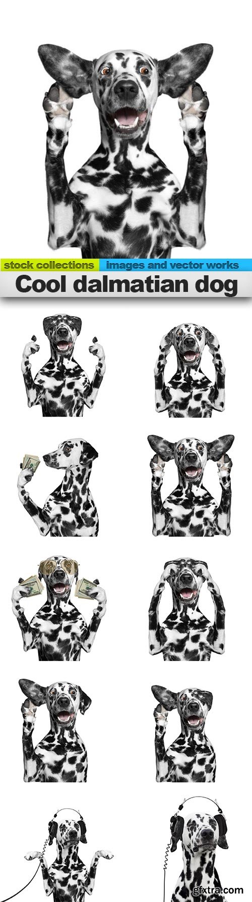 Cool dalmatian dog, 15 x UHQ JPEG
