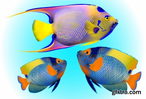 Fish sea animal multicolored skin leather fin 25 EPS