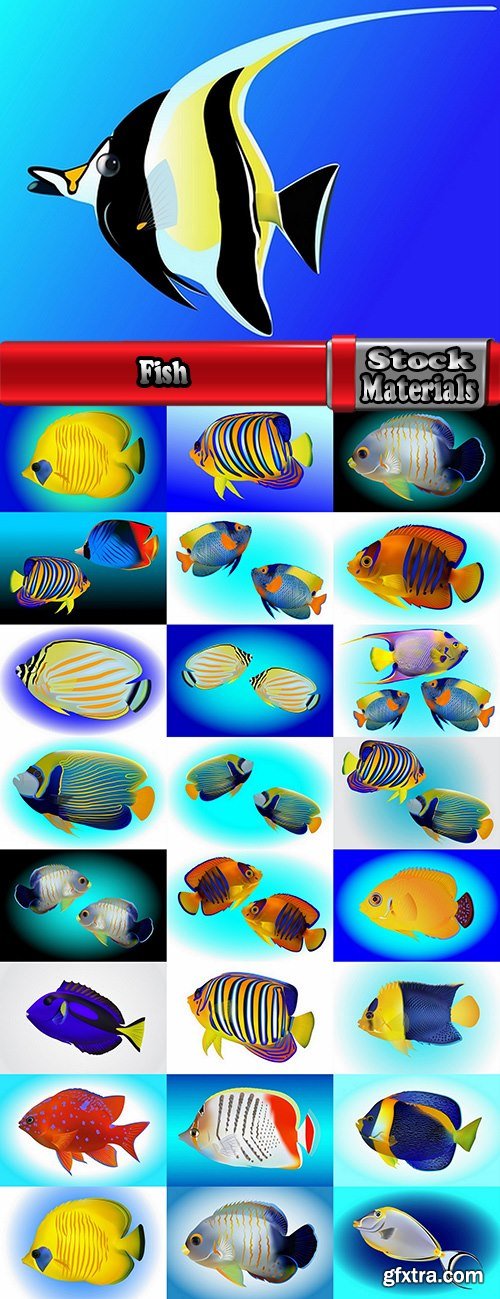 Fish sea animal multicolored skin leather fin 25 EPS