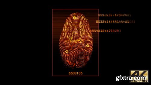 Fingerprint Scan v3 16851210 Videohive