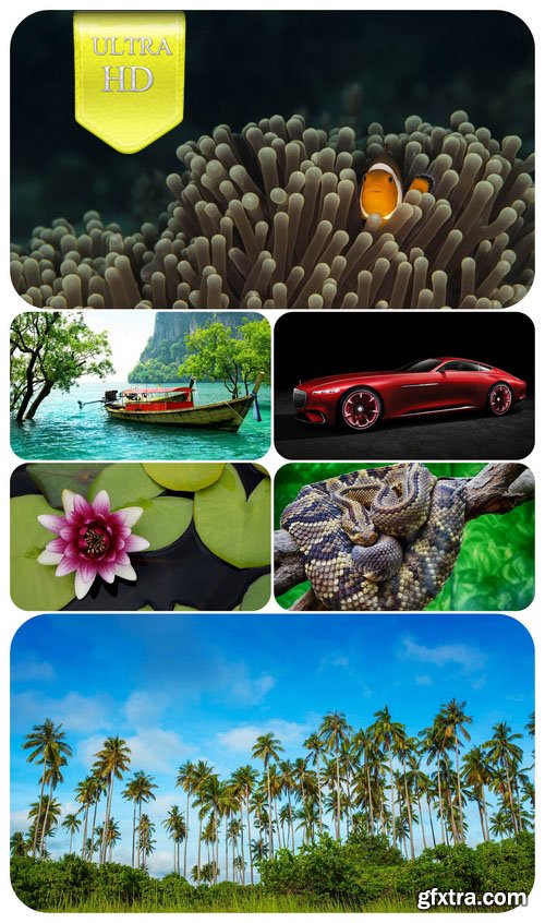 Ultra HD 3840x2160 Wallpaper Pack 119