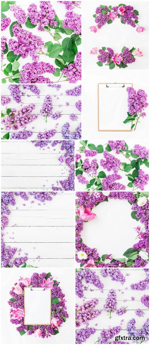 Lilac flowers on white background 10X JPEG