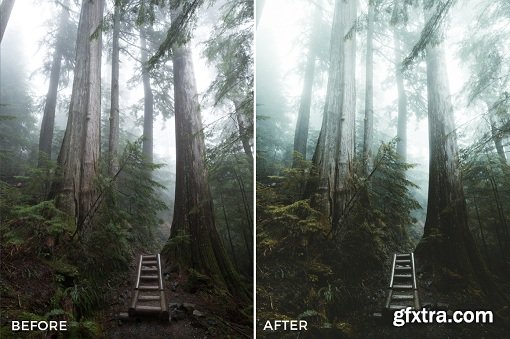 FilterGrade Dylan Kato Lightroom Presets