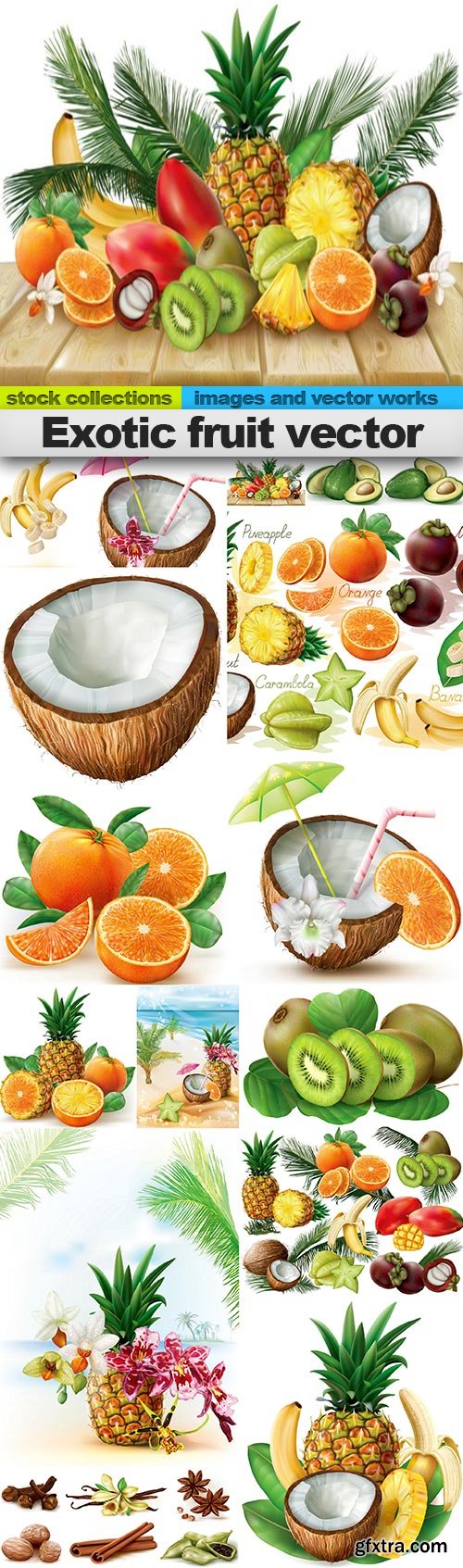 Exotic fruit vector, 15 x EPS